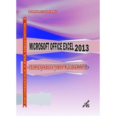 Microsoft Office Excel 2013 - teorie şi aplicaţii pentru clasa a X-a